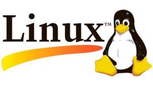 Linux for Beginners Guide
