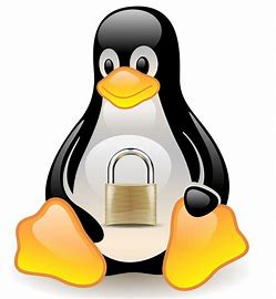 Secure Linux